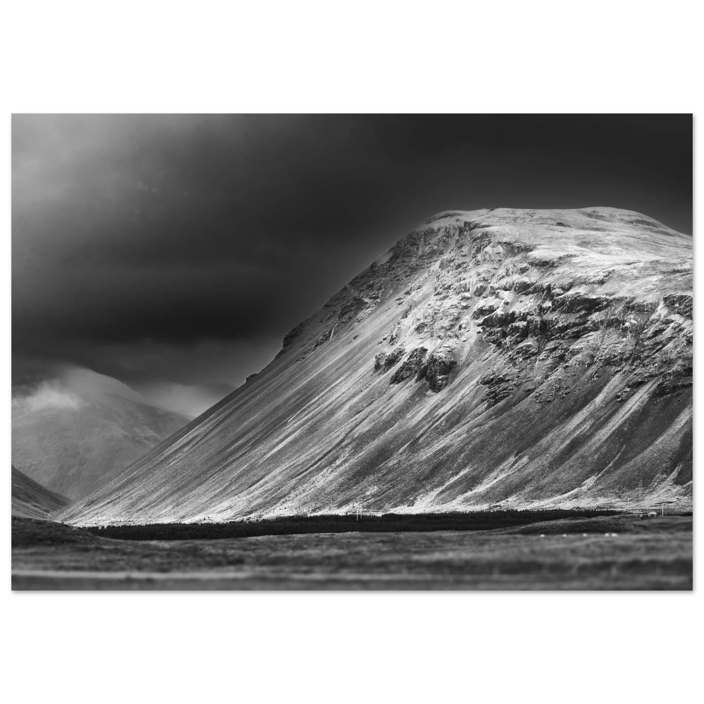 8b040a03-469b-44f4-b708-5d859dbbfd7c