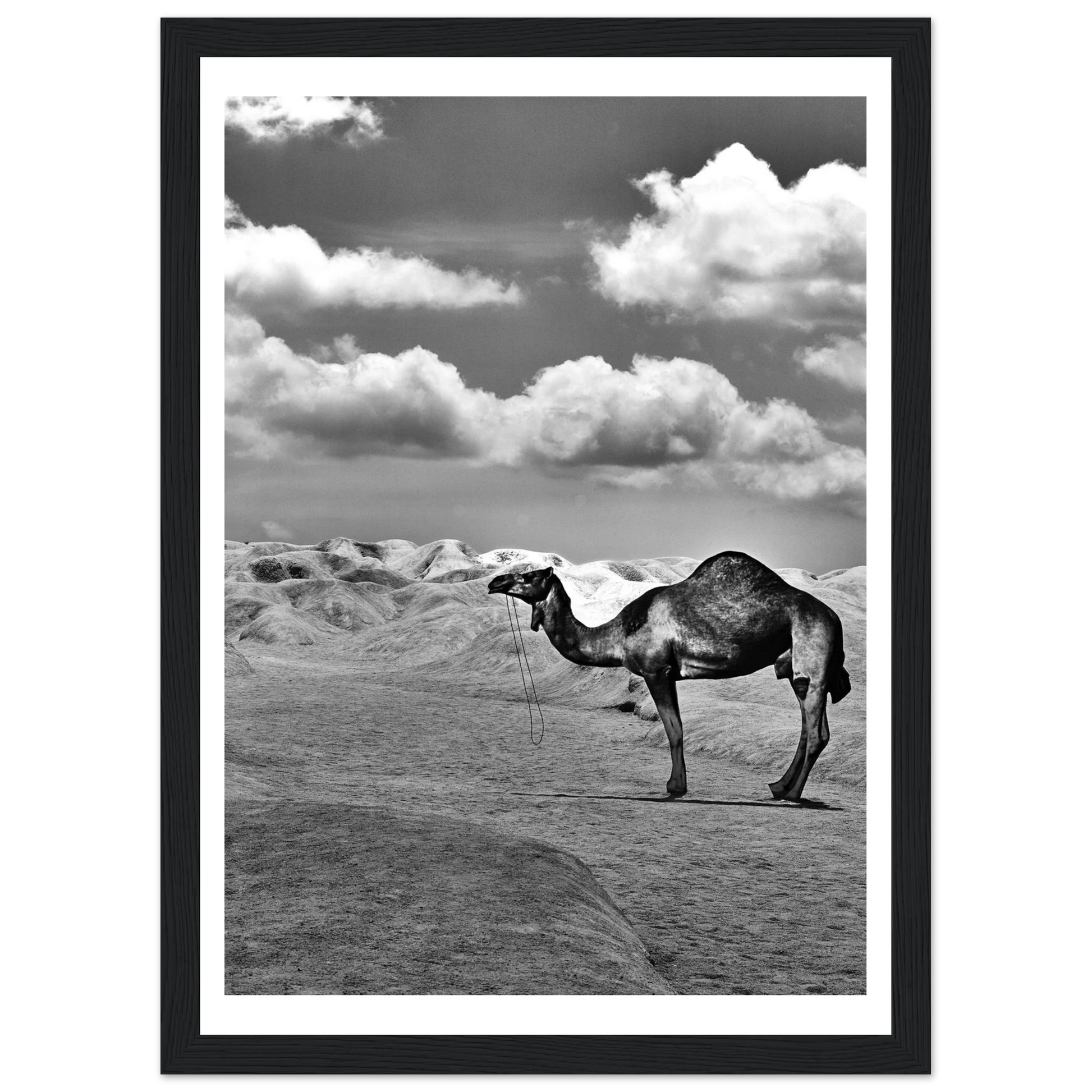 8c74e69c-2541-409e-bf3d-a634d2116595