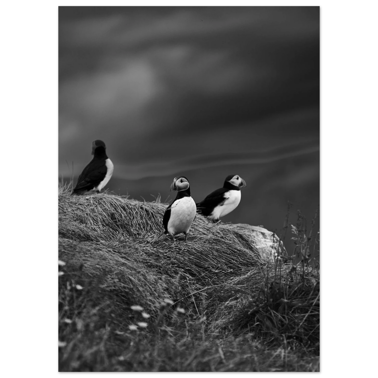 8c9e9789-b8b8-425c-b39c-1df8b674d618