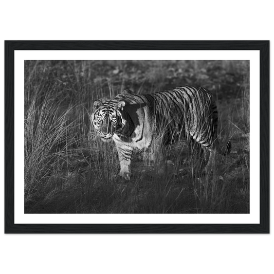 8fade0ac-6ced-4b05-8028-5731f012153d