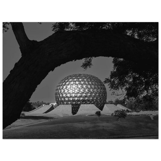 90272b82-984c-4a68-87da-b13e99a807ca