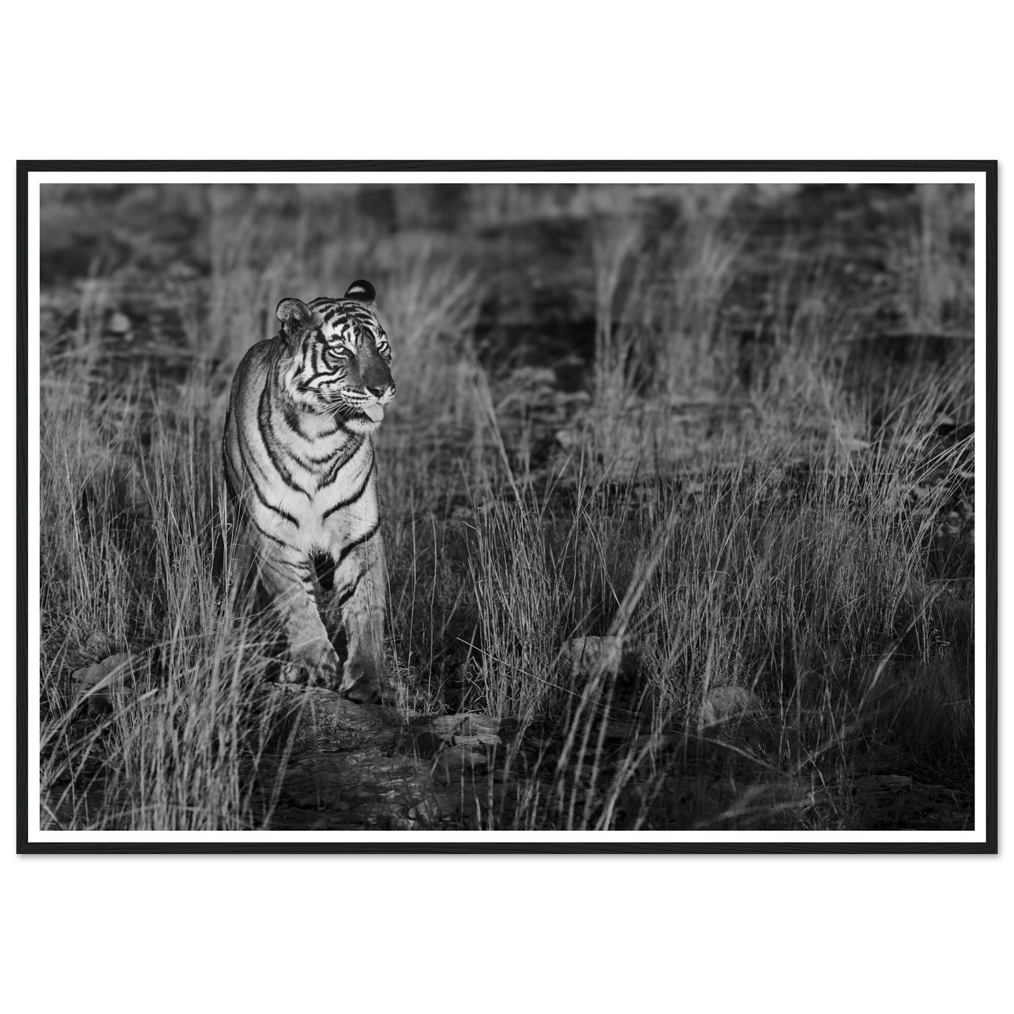 94436194-8fb4-403e-b87b-3867a6adc6a3