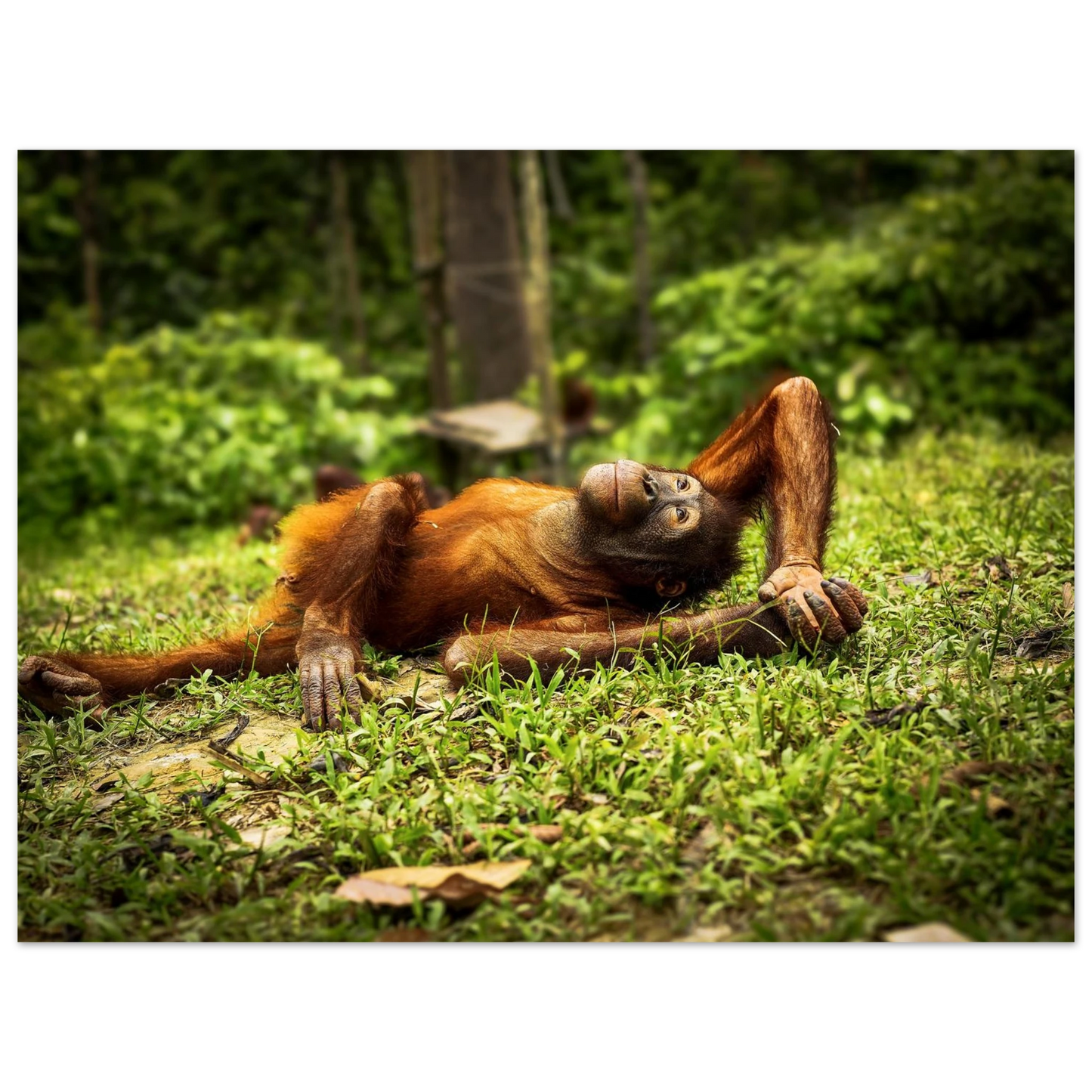 9f094615-f323-45db-97e6-e5f333f9f401