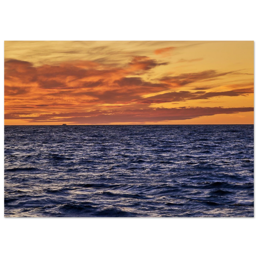 Posters online, väggkonst, affischer, planscher, art prints, tavlor, natur, stilren, eftertanke, reflektion, landskap, minimalism,