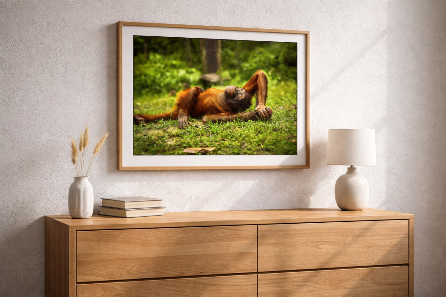Upphängningsklar i svart Träram.  Orangutang spekulerar