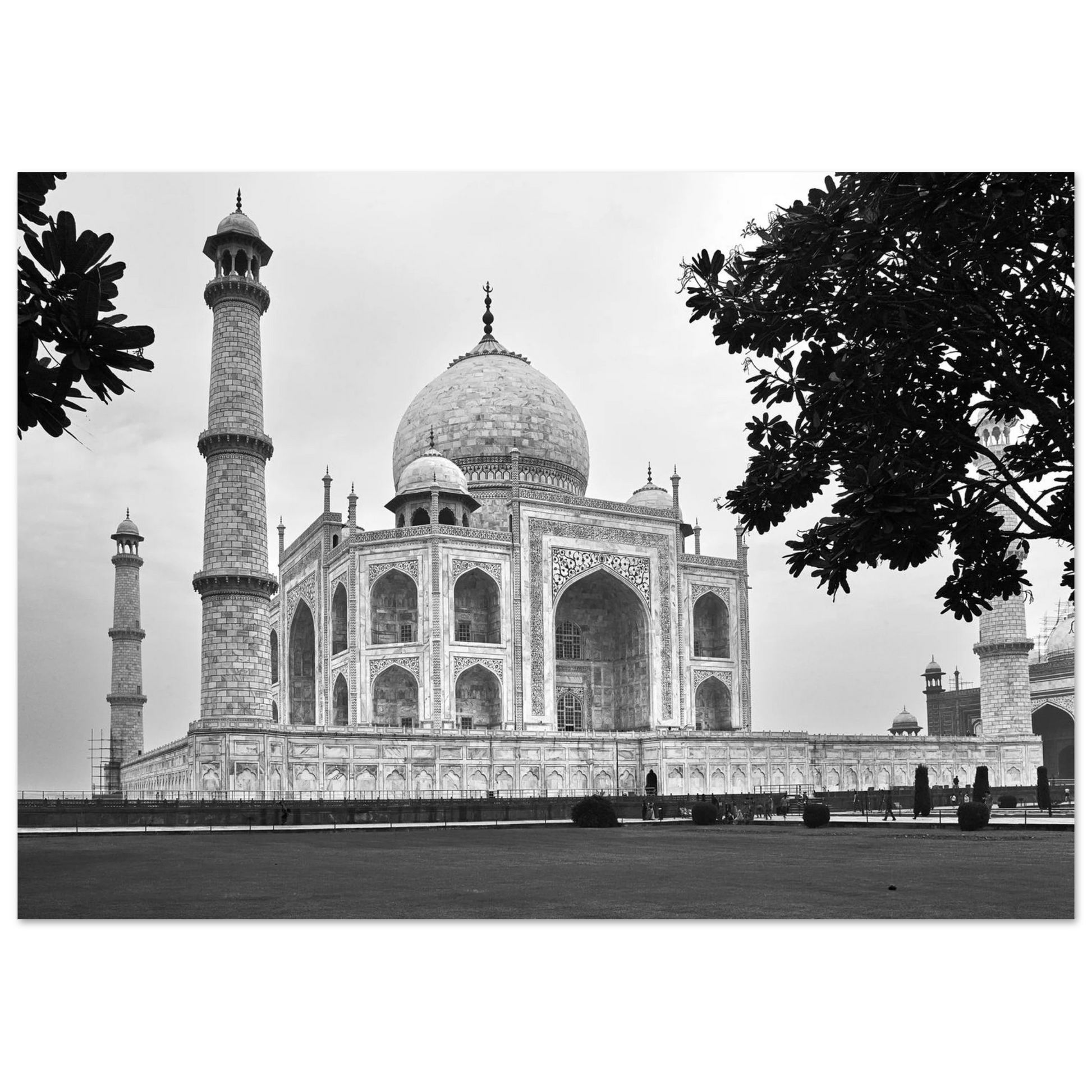 Posters online, väggkonst, affischer, planscher, art prints, tavlor, natur, stilren, eftertanke, reflektion, landskap, monochrome, svartvitt, minimalism,