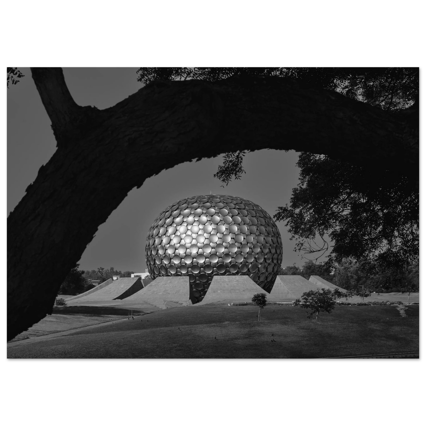 Posters online, väggkonst, affischer, planscher, art prints, tavlor, natur, stilren, eftertanke, reflektion, landskap, monochrome, svartvitt, minimalism,