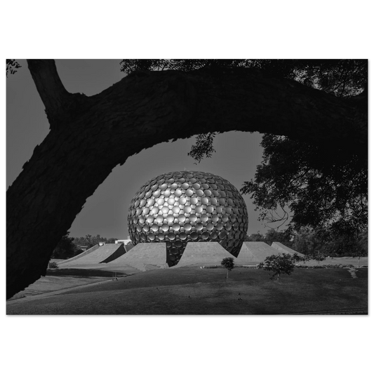 Posters online, väggkonst, affischer, planscher, art prints, tavlor, natur, stilren, eftertanke, reflektion, landskap, monochrome, svartvitt, minimalism,