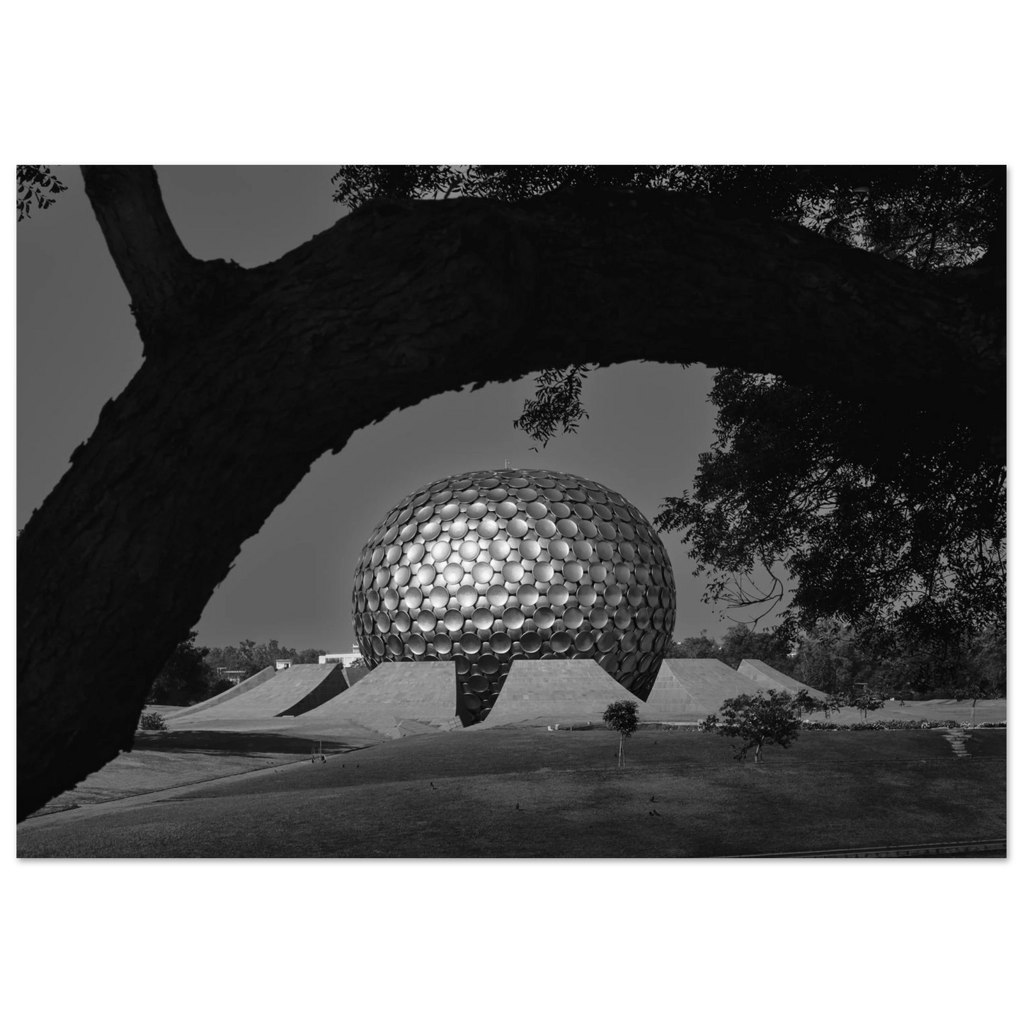 a1159fd8-5bf4-4001-b14b-9163ada49439