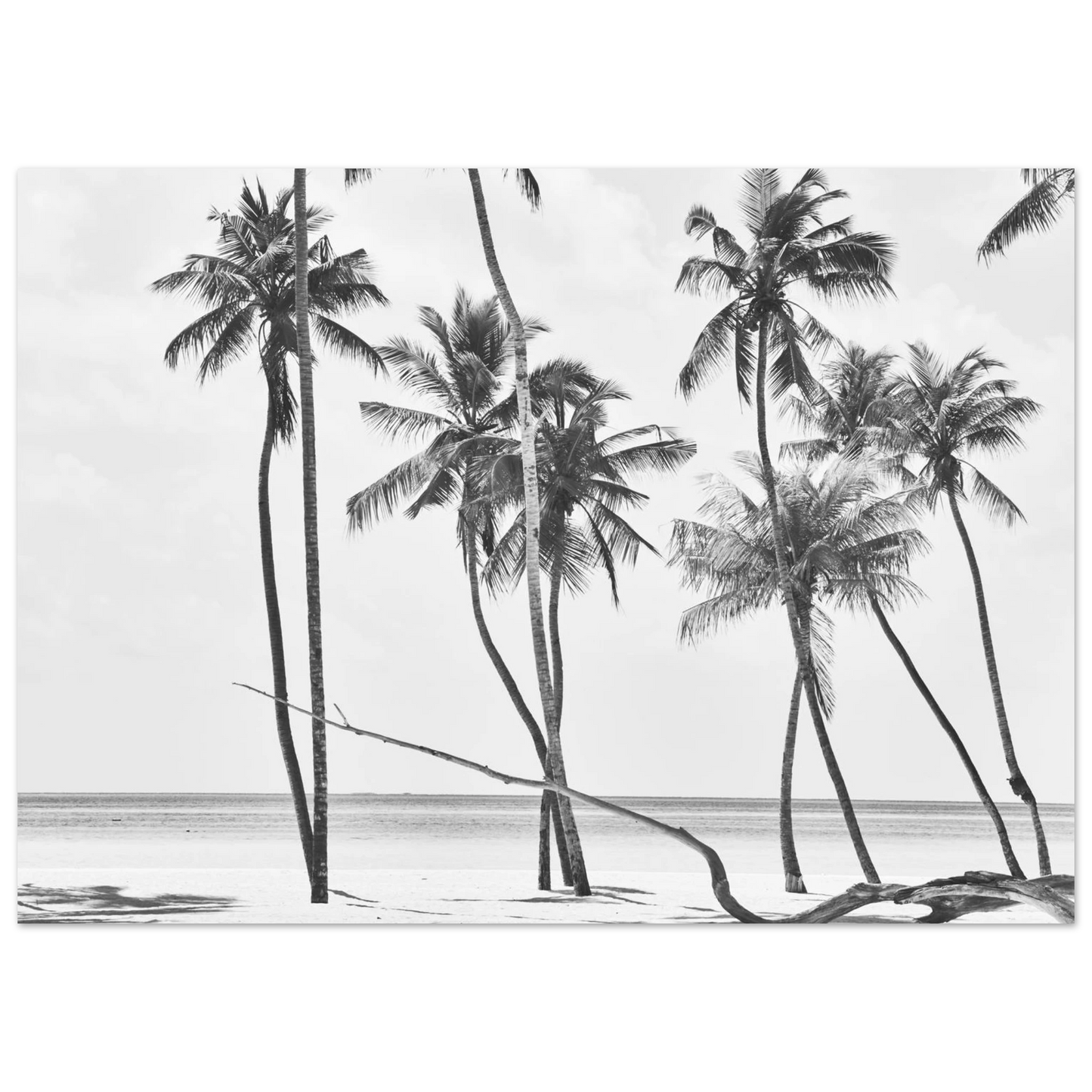b6960246-dde6-490f-b56e-8ff9a4ecc6fe