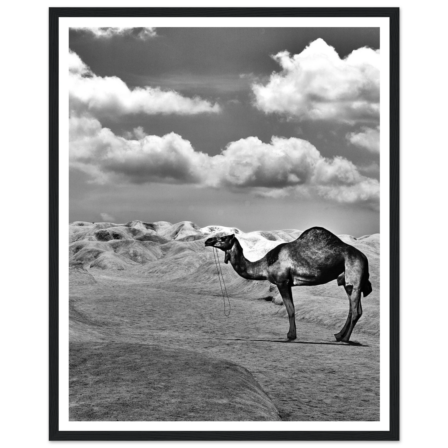 b967a3ab-b530-454c-befe-55e86b71fa18