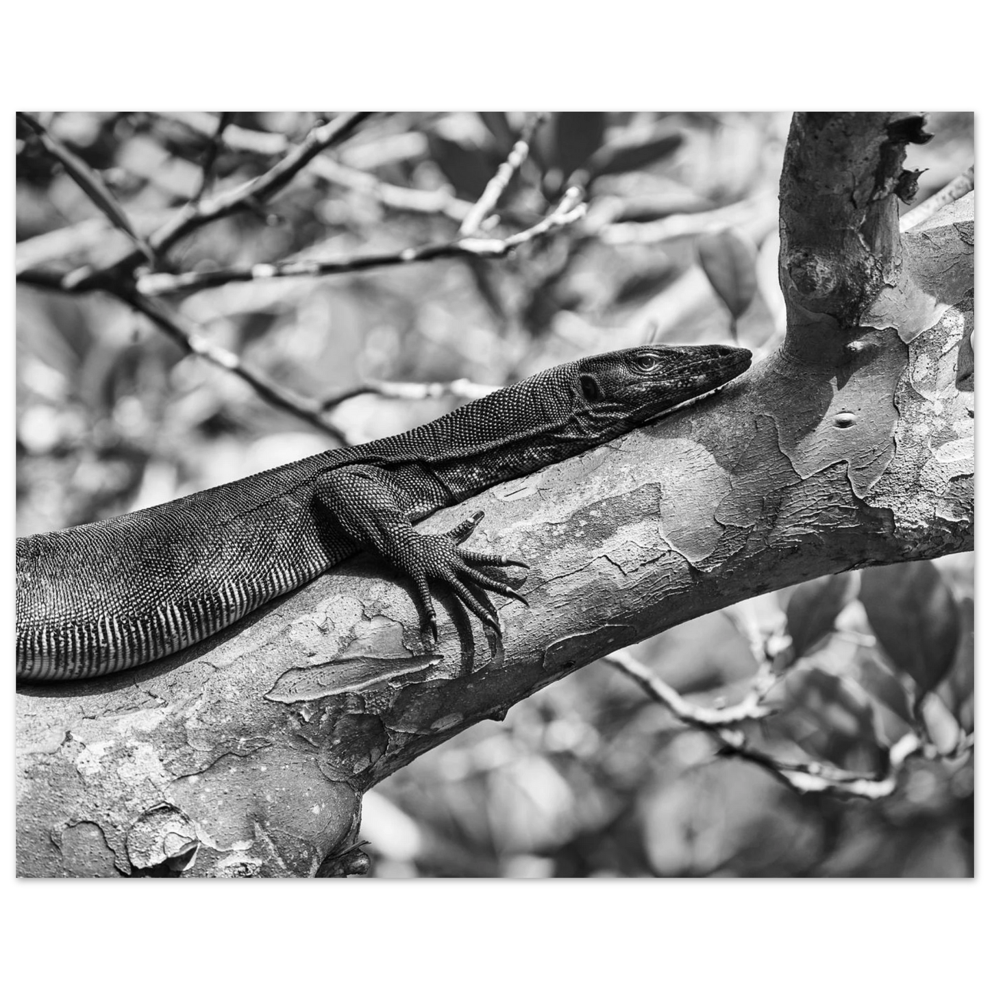 cf68a3be-bd65-4664-b8ca-3c8459430bf0