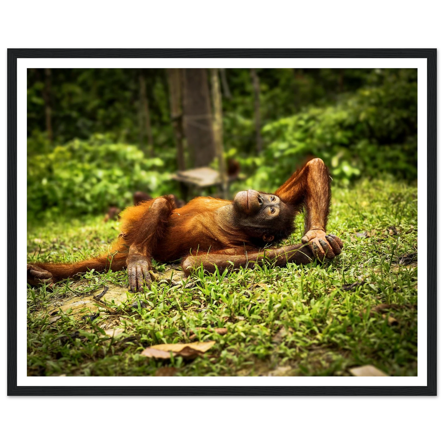 d1a33691-957b-4e18-9e06-a18c5c496d82