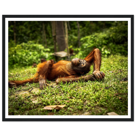 d1a33691-957b-4e18-9e06-a18c5c496d82