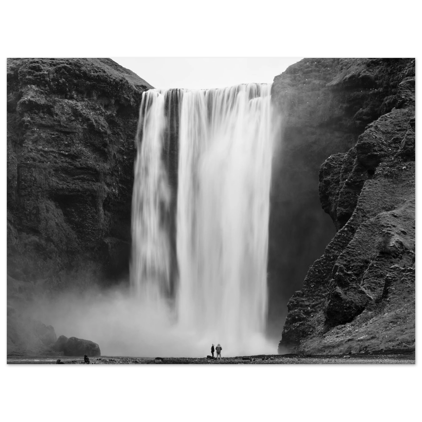 d658ef6e-fb6b-46ce-8626-e8094d2d931a