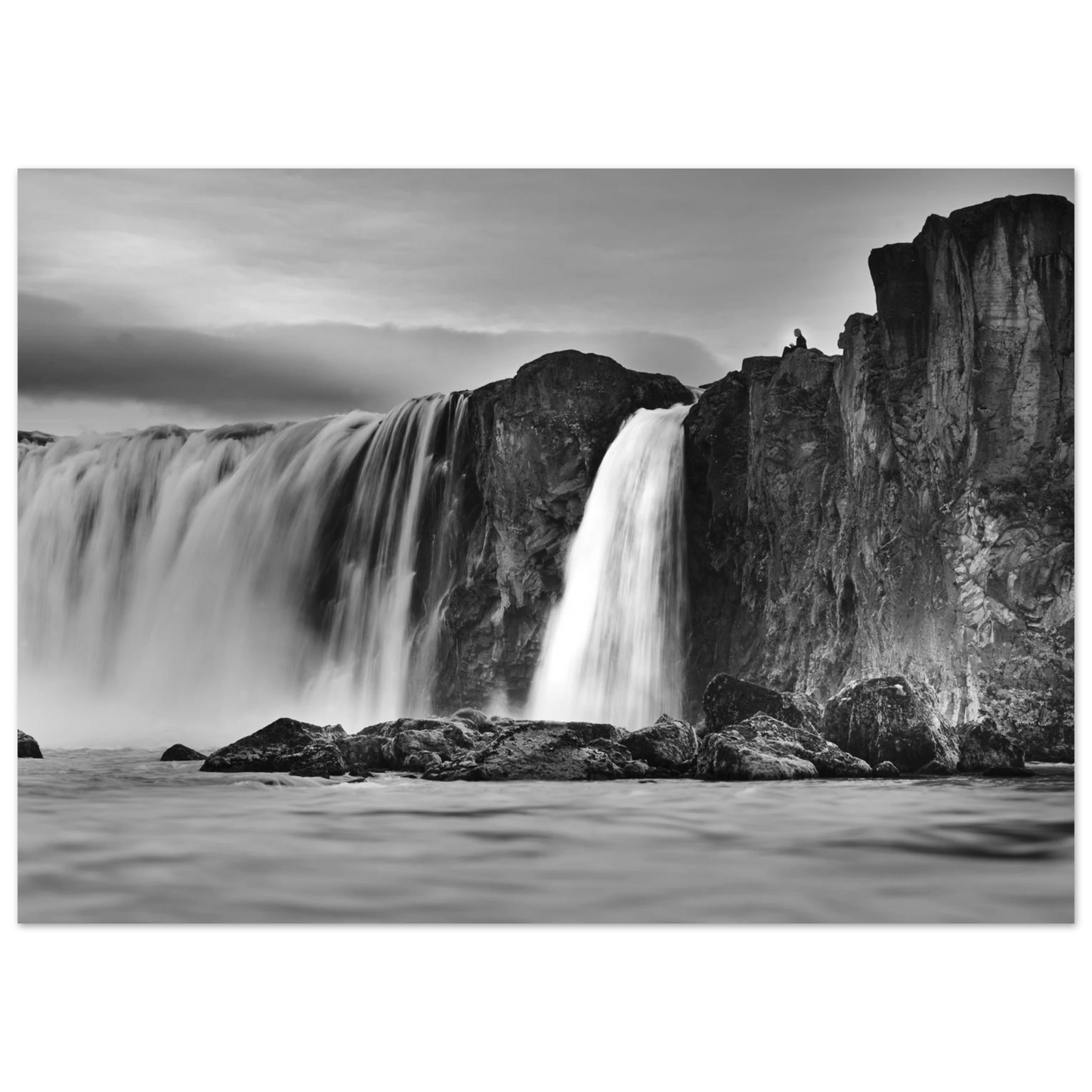 d68589f6-8003-498f-8126-9fc6b1e9c5df