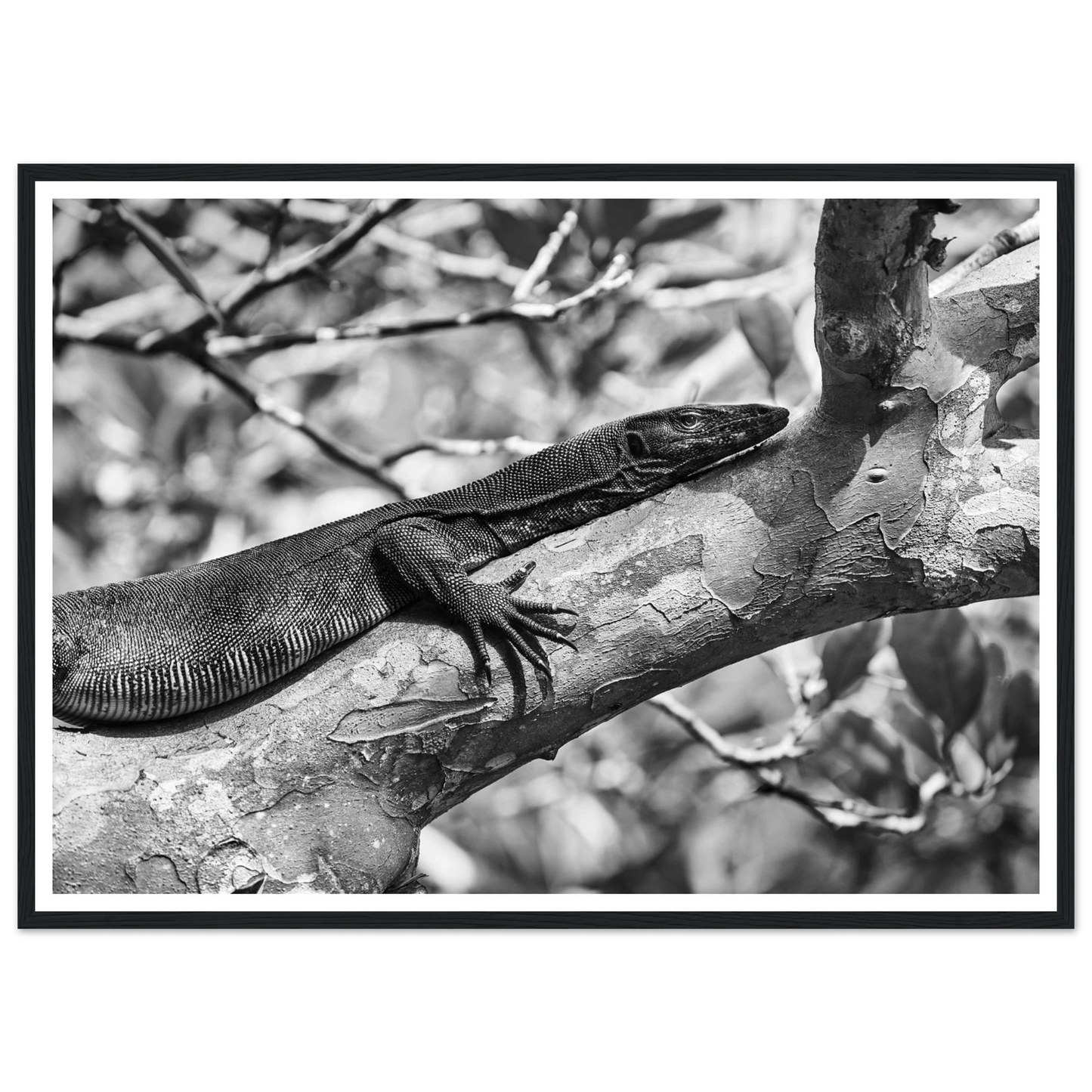 db80236b-ab70-4727-b362-6a744c2f9816