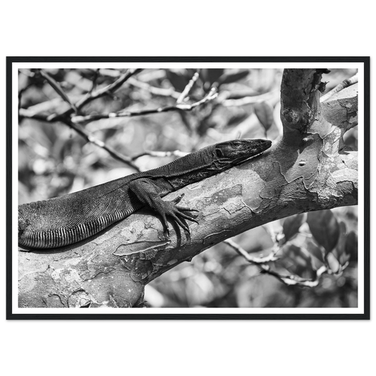 db80236b-ab70-4727-b362-6a744c2f9816