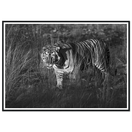 dcf0138f-e143-4508-b7f4-055c3bb0a2a2