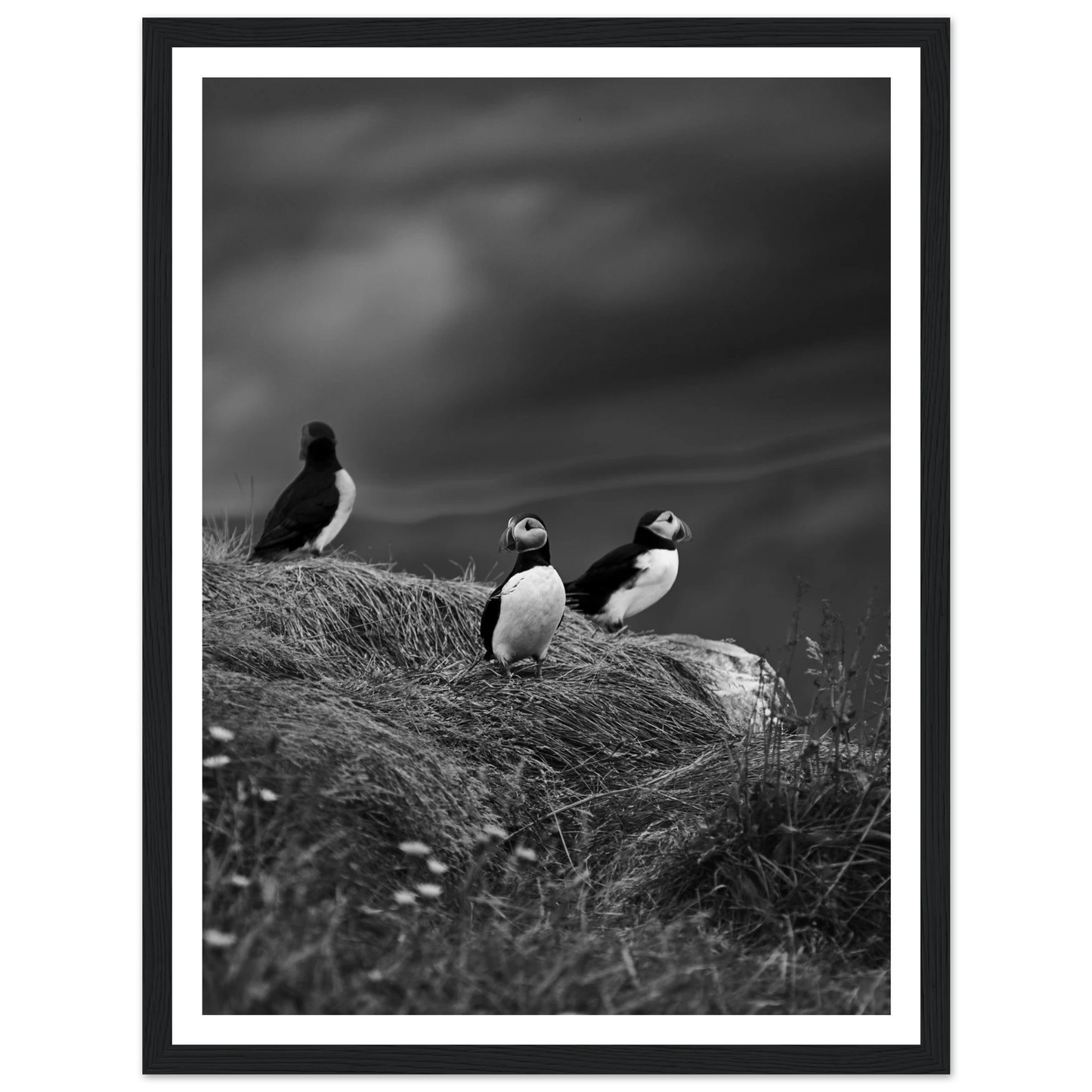 e8a111ca-e419-414e-bc0a-dbb77ebbb058