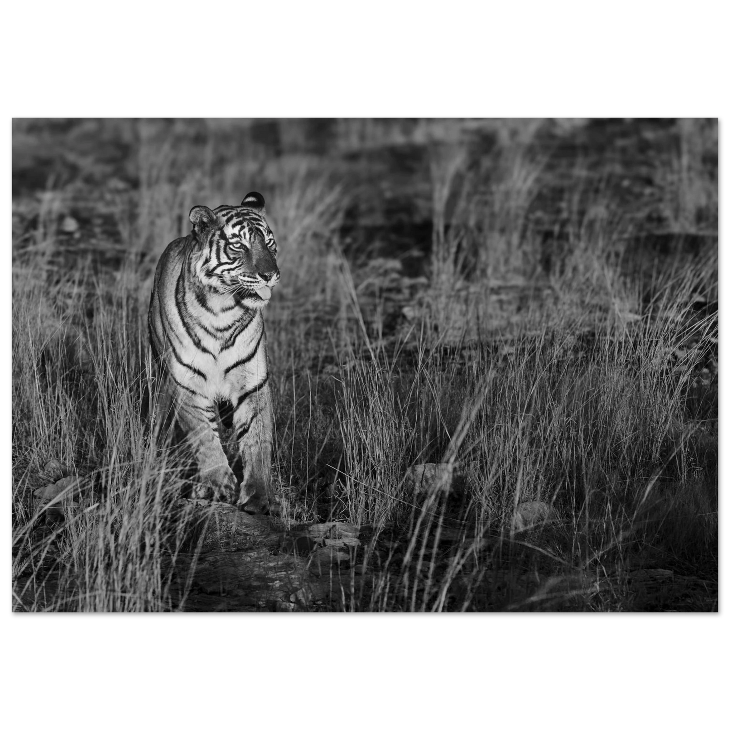 edd4248e-9809-47b9-9265-af19aa057566