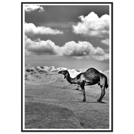 efa5cd01-7223-4ad2-8019-795314b1900e