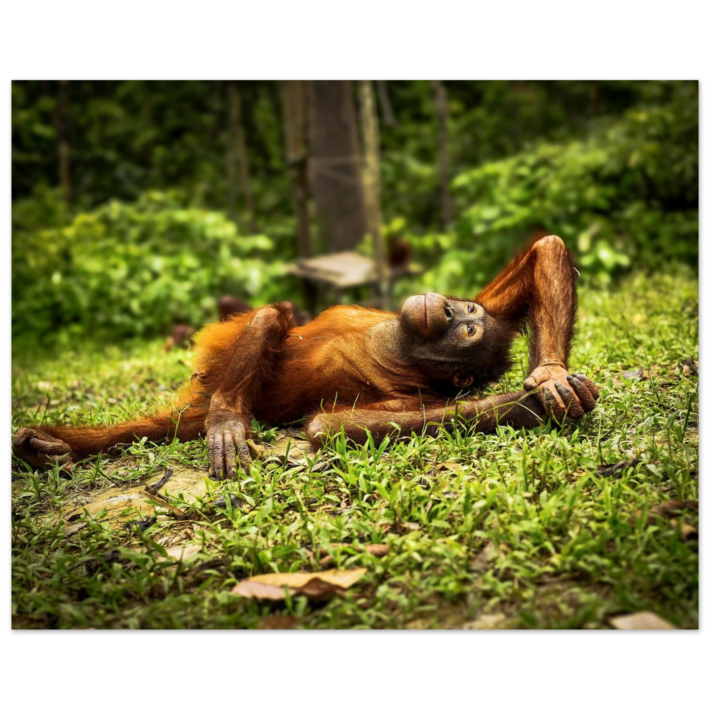 f1547d8f-6219-4944-ab90-a91515bcc423