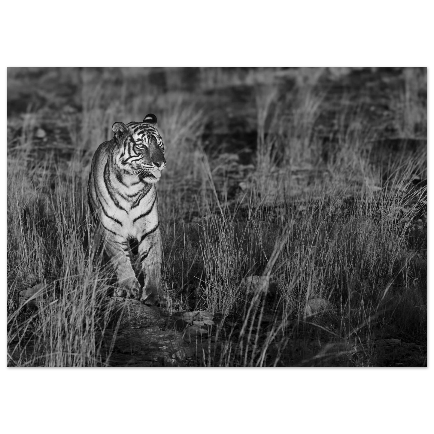 f3d9afea-0766-4b47-943c-860c7895e445