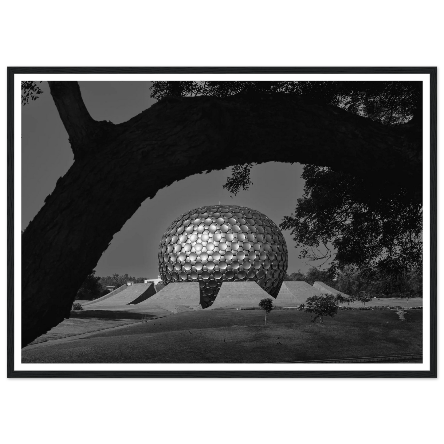 f6f61bba-afe8-45c4-8899-86b2f572c742