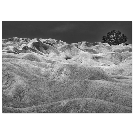 Posters online, väggkonst, affischer, planscher, art prints, tavlor, natur, stilren, eftertanke, reflektion, landskap, monochrome, svartvitt, minimalism,