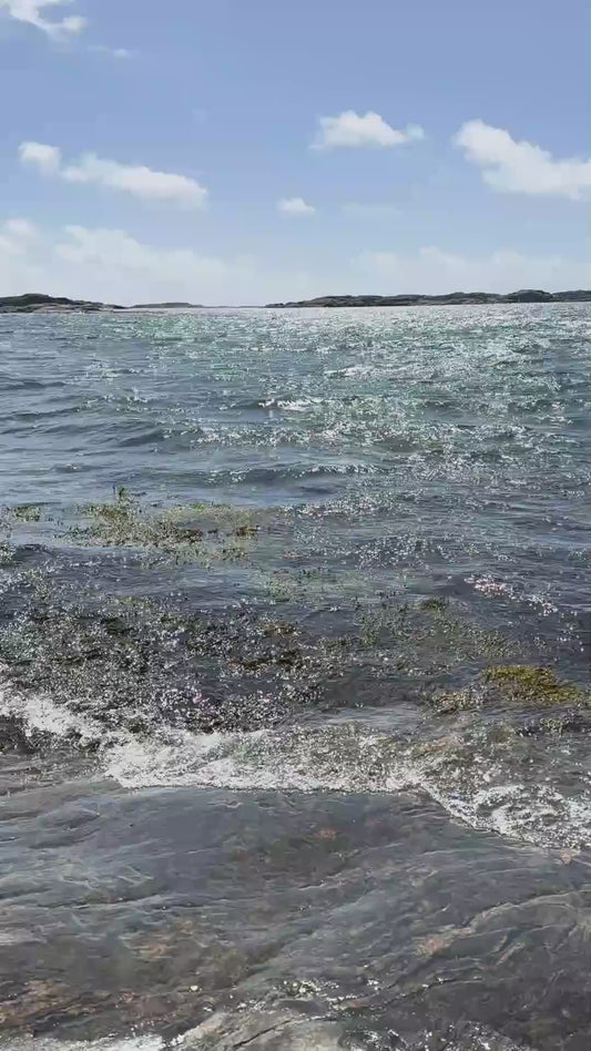 Havet och sjögräset