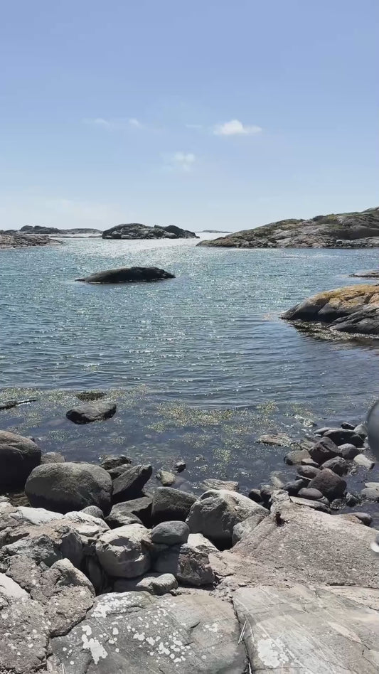 Fotö, med träram